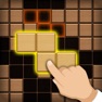 Get Wood Block Puzzle :Brain Game for iOS, iPhone, iPad Aso Report