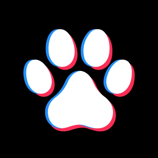 AI Pet Portrait - PawEditor