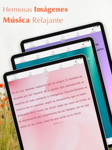 Santa Biblia Reina Valera 1960 iPad screenshot