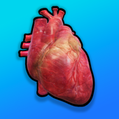 Anatomy Heart App Support