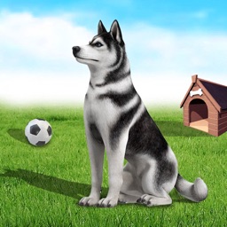 Dog Games: Puppy Pet Simulator