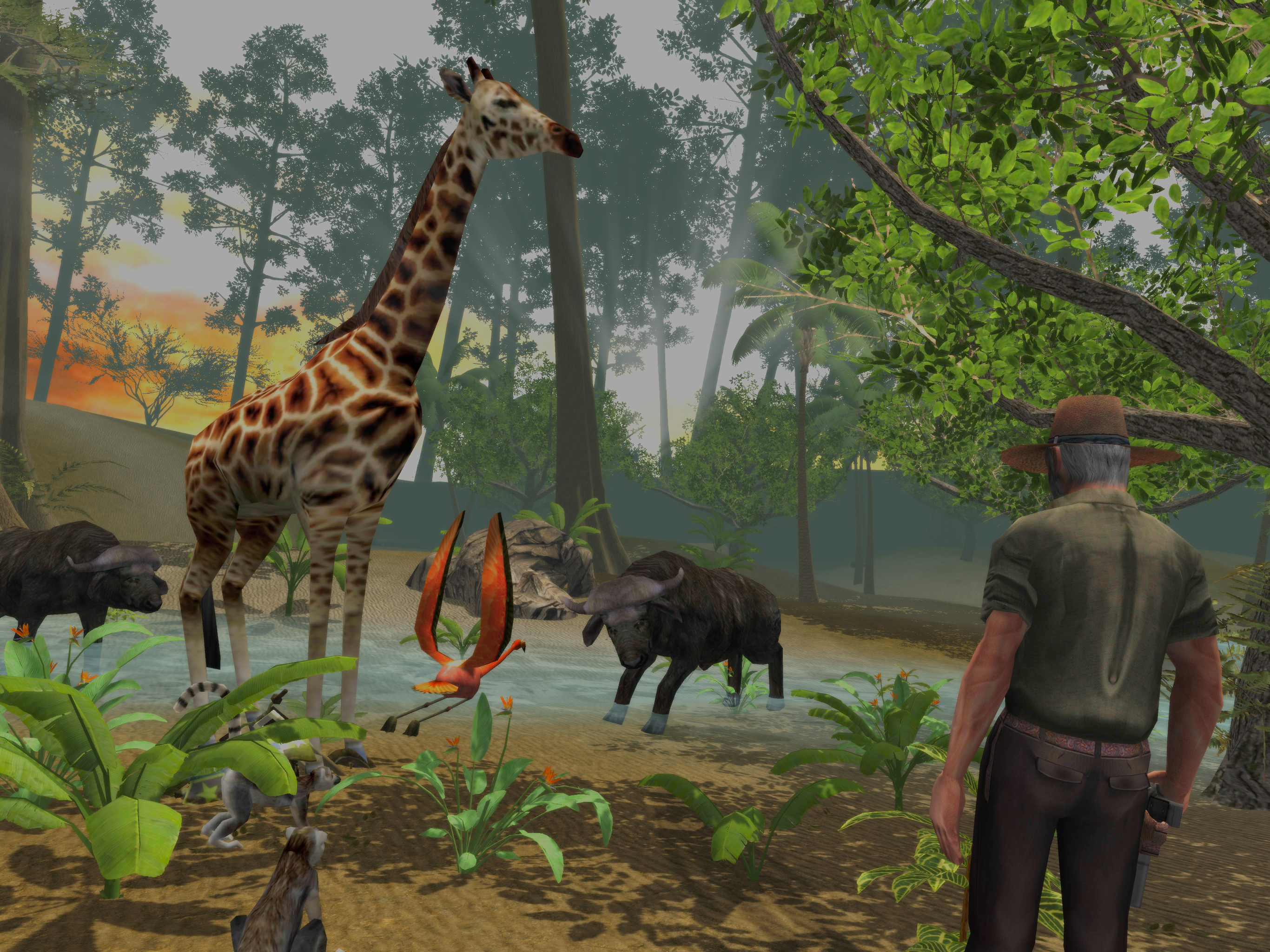4x4 Safari: Evolution