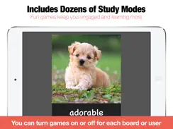 Bitsboard Flashcards & Games iPad image 3