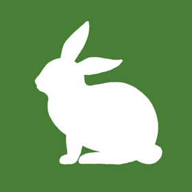 Unity Virtual Forest