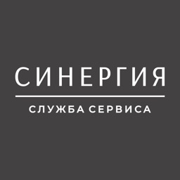 Синергия