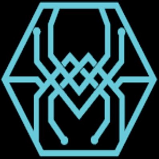 SpyderFlow Asset Management