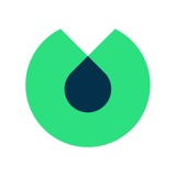 Blinkist: boek samenvattingen