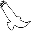 Eagle-Eye Tours icon