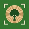 Tree Identifier: TreeBarkID icon