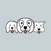 Fetch Fido icon
