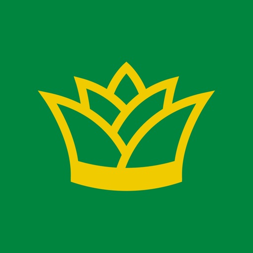 PrecisionKing Dashboard