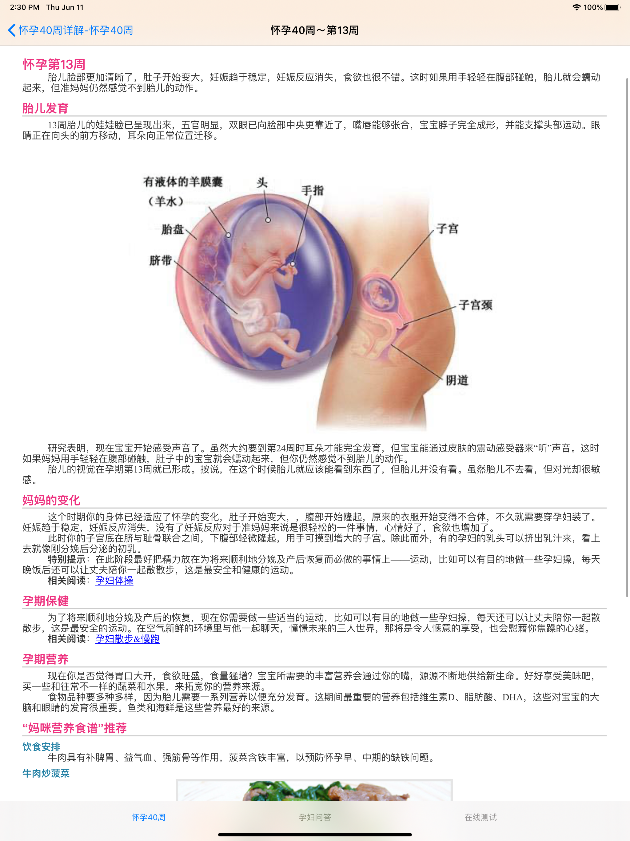 怀孕40周全方位详解 screenshot 8