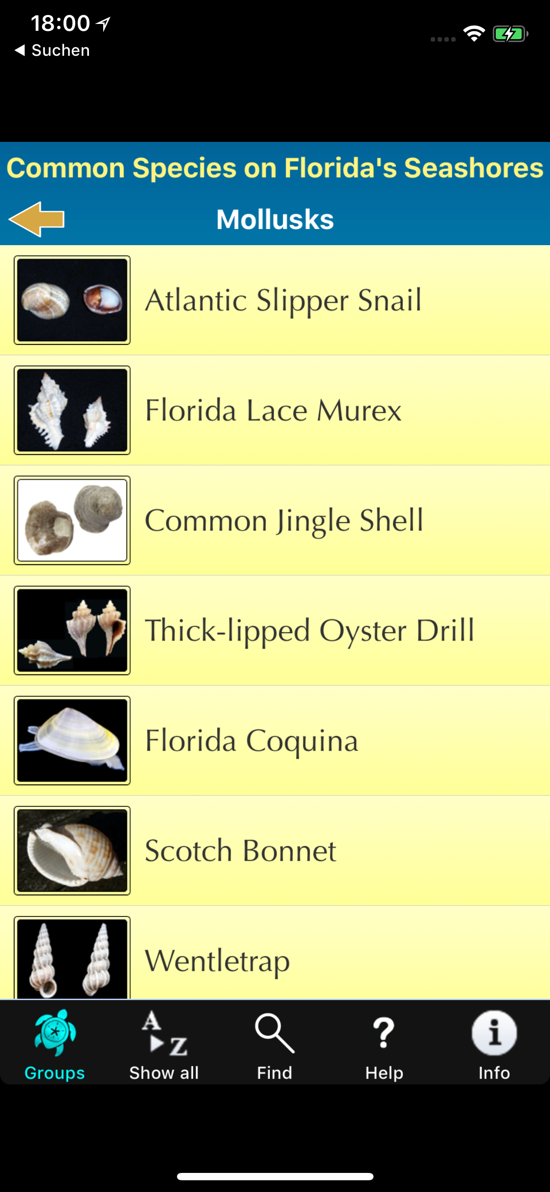 Florida Seashore Wildlife screenshot 9