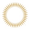 Concacaf Official icon