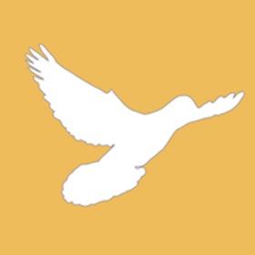 螢幕擷取畫面 (9) MyPigeon App