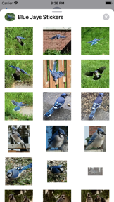 Blue Jay Stickers screenshot