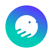 Okto Wallet