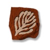 Somersett Golf & Country Club icon