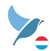 Bluebird: Learn Luxembourgish icon