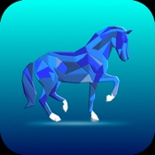 The Dressage Coach