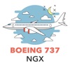 Boeing 737 NGX Checklist icon