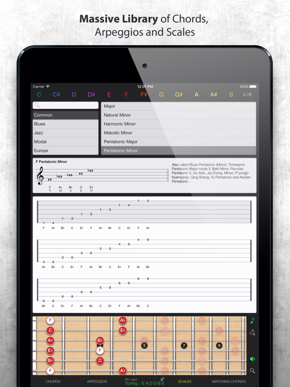 Guitar Gravitas: Chords Scales iPad screenshot 3 - Music app