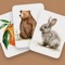 Flashcards are a convenient way to improve your child's knowledge