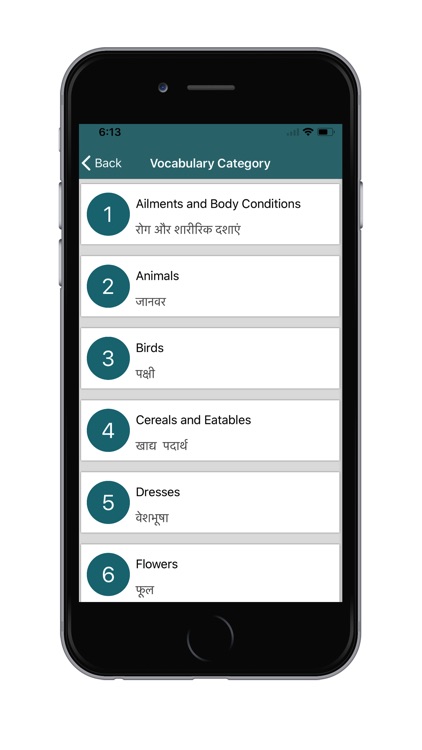 Hindi English Translators screenshot-4