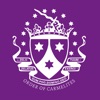 Terenure College icon