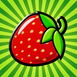Salade Fruits