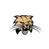Bowling Green R-1 Schools icon