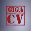 Un CV sur mesure avec giga-cv - kodaski.fr