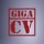 Your best resume with giga-cv