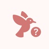 Bird ID AI Scanner Learn icon