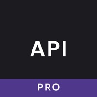 API Tester(Pro)