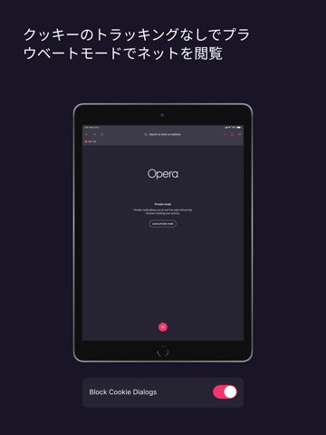 Opera ブラウザとプライベート VPNのおすすめ画像7