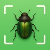 Bug Identifier : Insect Scan icon