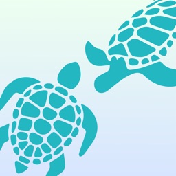 −AIカメと遊ぶ−水平思考ゲーム