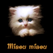 Miaou Miaou: Animal Discovery