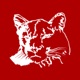 Crestview Schools Cougars app icon - Education app for iPhone