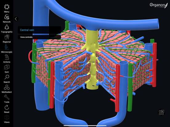 3D Organon iPad screenshot 9 - Medical app