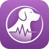 DogPulse AI - Dog Heart Check - App Icon