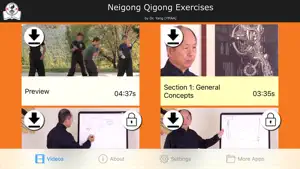 Neigong Qigong Exercises screenshot 1