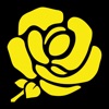 Melrose Sevens icon