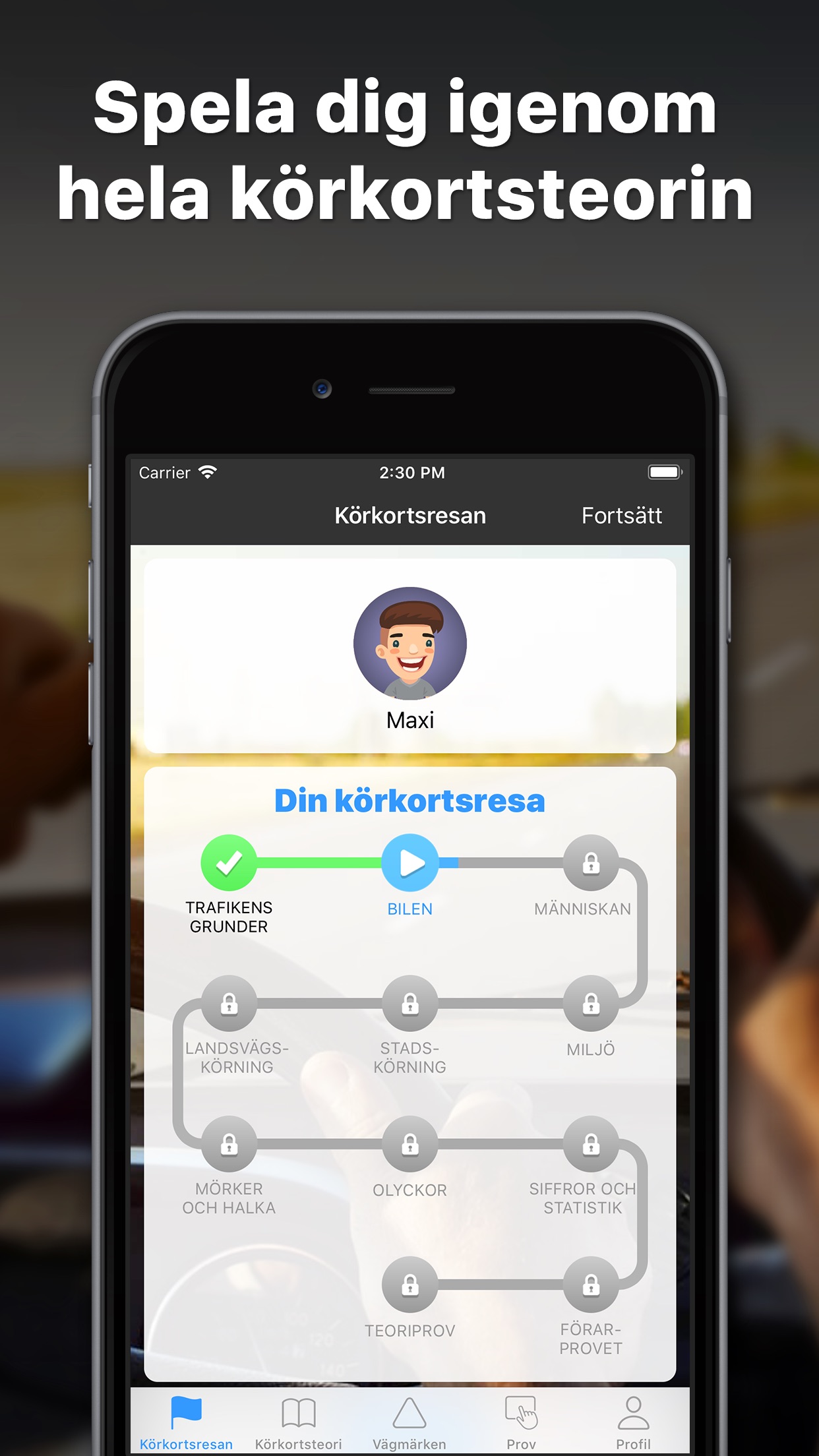 Screenshot 5 of iKörkort