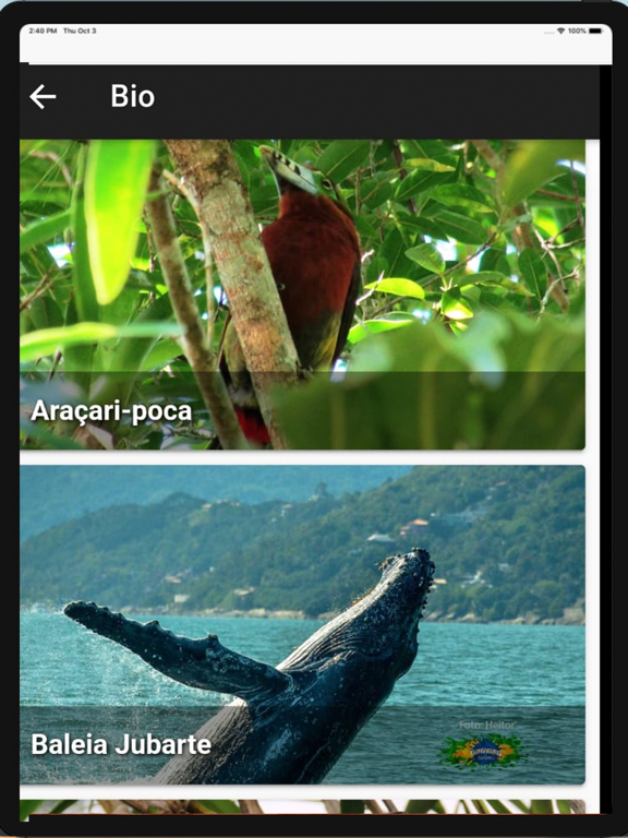 Tudoem O melhor de cada Cidade iPad screenshot 5 - Entertainment app