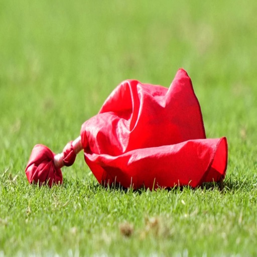 Challenge Flag Ratings