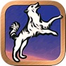 Get Fool’s Dog Tarot & Divination for iOS, iPhone, iPad Aso Report