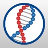 uAuthenticate Right to Work icon