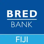 BRED Fiji Business Connect App Negative Reviews